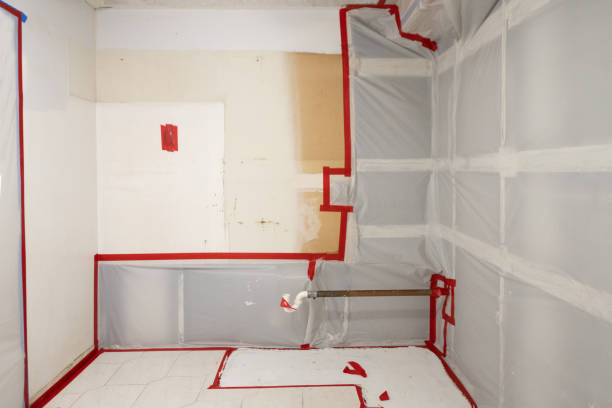 Best Black Mold Removal  in Zuni Pueblo, NM