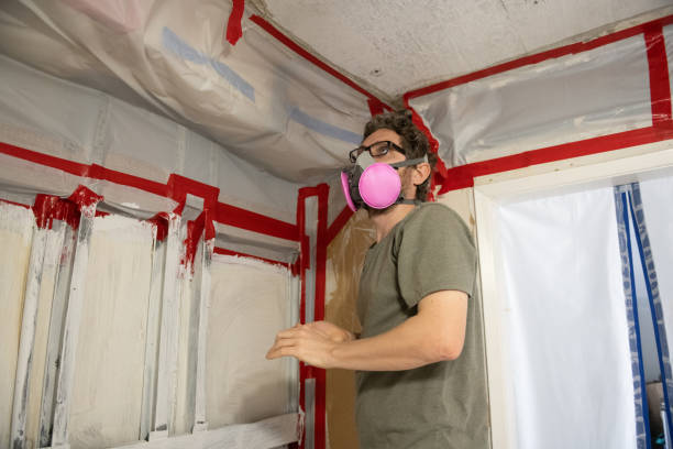 Reliable Zuni Pueblo, NM Mold Inspection, Removal & Remediation Solutions